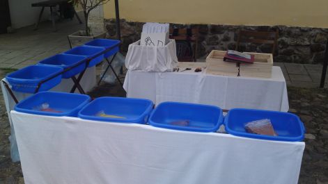 20100904003.jpg